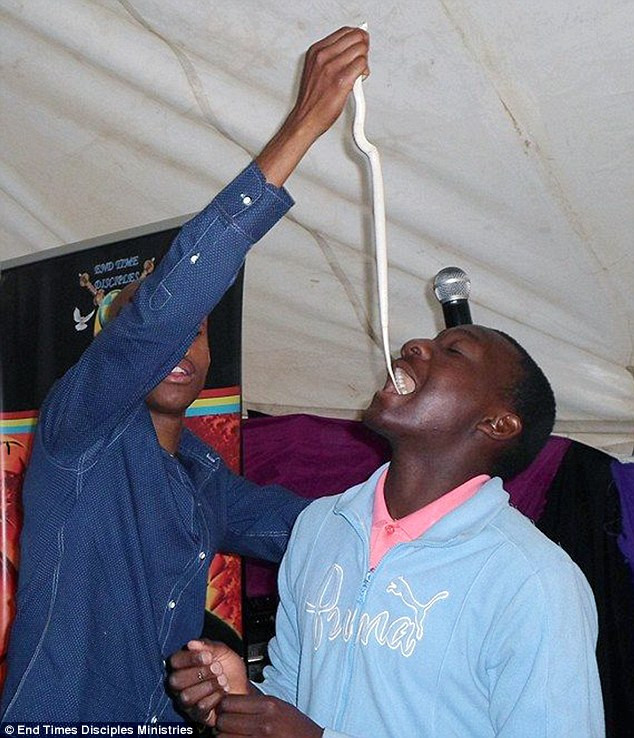 Kinh hoàng: Nuốt rắn chứng tỏ lòng tin ảnh 4 Kinh hoàng: Nuốt rắn chứng tỏ lòng tin ảnh 4