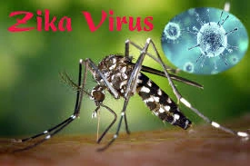 Tăng cường phòng, chống dịch bệnh do virus Zika trong trường học