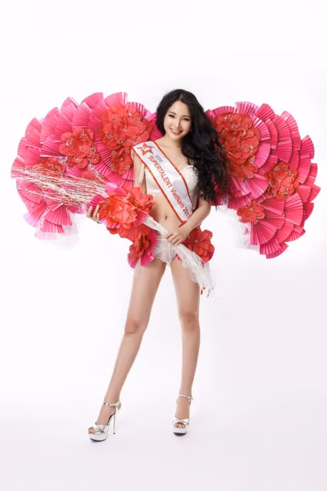 Nghi an trang phuc dan toc cua Luong Thai Tran tai Hoa hau Sieu tai nang The gioi 2017 giong Trung Quoc? - Anh 1