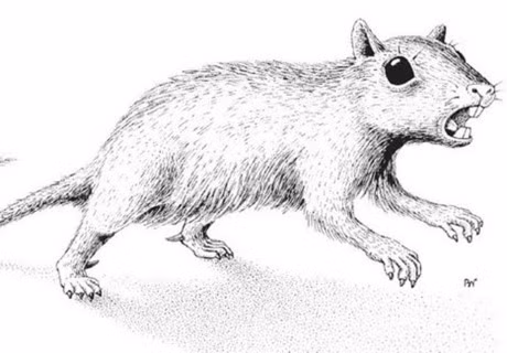 Phat hien khao co ve loai dong vat co vu co noc doc o 2 chan sau - Anh 1