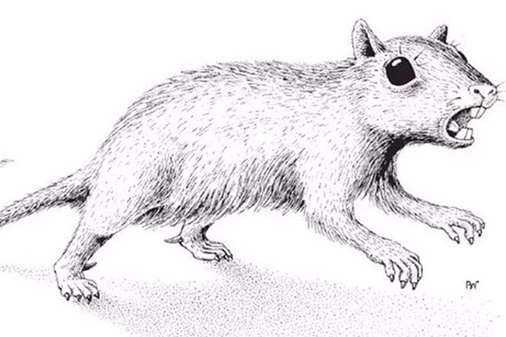 Phát hiện khảo cổ về loài động vật có vú có nọc độc ở 2 chân sau