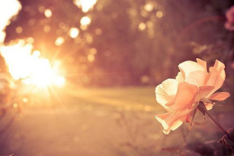 10 điều không bao giờ được phép quên trong cuộc đời, mỗi điều đều là một bài học vô giá! - Ảnh 2 10 dieu khong bao gio duoc phep quen trong cuoc doi, moi dieu deu la mot bai hoc vo gia! - Anh 2