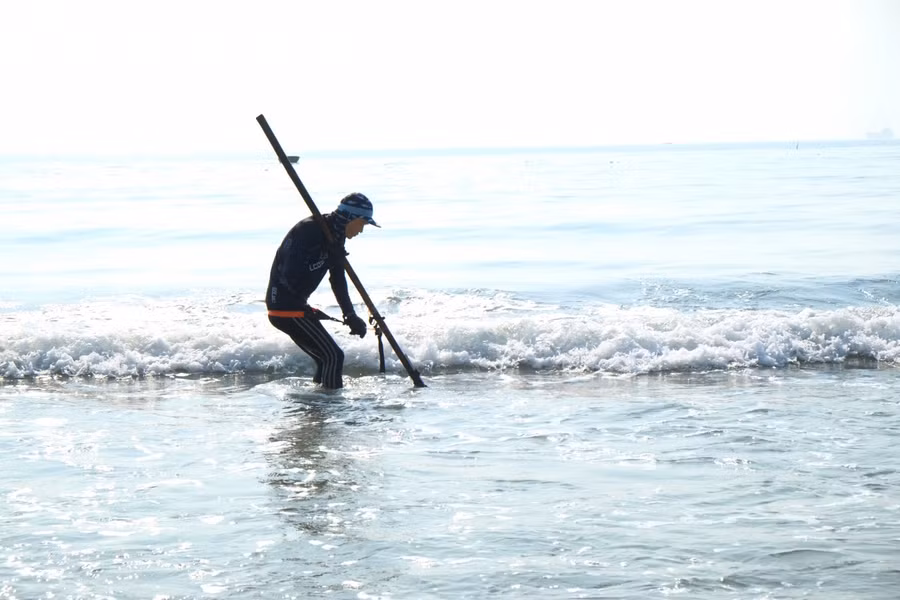 Ngư dân bắt đầu cào ốc từ lúc mặt trời chưa ló dạng đến giữa trưa