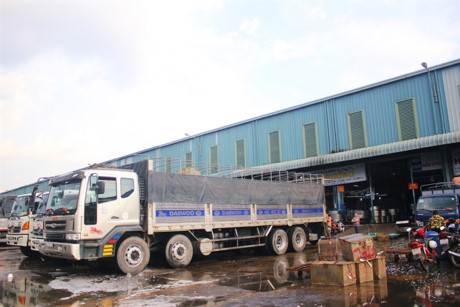 Hàng trăm tấn cá lóc ồ ạt về chợ đầu mối lớn nhất nước ngày cúng Thần Tài - Ảnh 1 Hang tram tan ca loc o at ve cho dau moi lon nhat nuoc ngay cung Than Tai - Anh 1