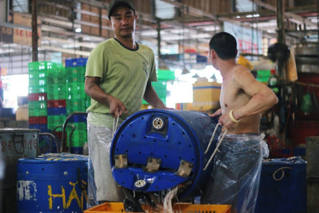 Hàng trăm tấn cá lóc ồ ạt về chợ đầu mối lớn nhất nước ngày cúng Thần Tài - Ảnh 4 Hang tram tan ca loc o at ve cho dau moi lon nhat nuoc ngay cung Than Tai - Anh 4