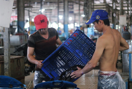 Hàng trăm tấn cá lóc ồ ạt về chợ đầu mối lớn nhất nước ngày cúng Thần Tài - Ảnh 10 Hang tram tan ca loc o at ve cho dau moi lon nhat nuoc ngay cung Than Tai - Anh 10