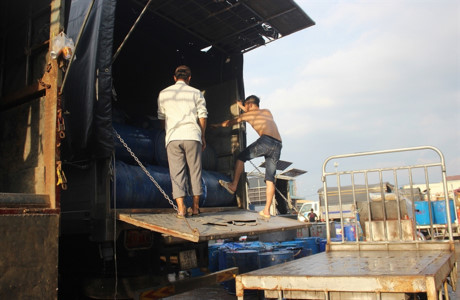 Hàng trăm tấn cá lóc ồ ạt về chợ đầu mối lớn nhất nước ngày cúng Thần Tài - Ảnh 2 Hang tram tan ca loc o at ve cho dau moi lon nhat nuoc ngay cung Than Tai - Anh 2