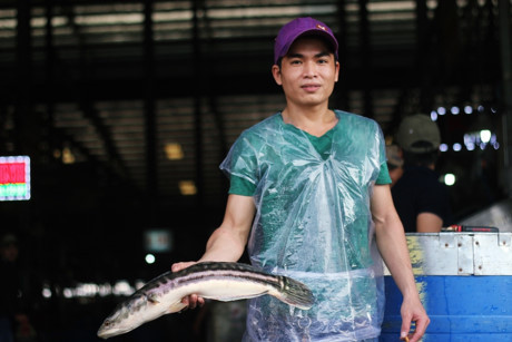Hàng trăm tấn cá lóc ồ ạt về chợ đầu mối lớn nhất nước ngày cúng Thần Tài - Ảnh 6 Hang tram tan ca loc o at ve cho dau moi lon nhat nuoc ngay cung Than Tai - Anh 6