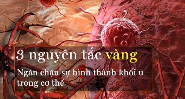 Ai cũng có tế bào ung thư trong người: 3 nguyên tắc vàng chặn đứng sự hình thành khối u