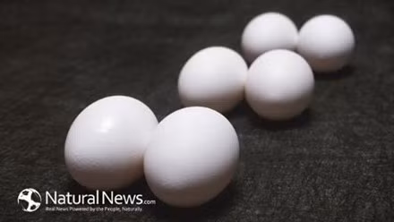 Ảnh minh họa: Internet