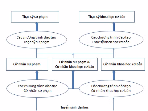 Các mô hình đào tạo giáo viên ở đại học đa ngành, đa lĩnh vực