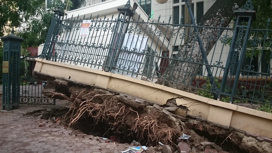 Hà Nội bị thương, tình người bén rễ
