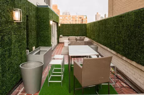 10 loai cay giup san vuon nha xanh mat quanh nam - Anh 11