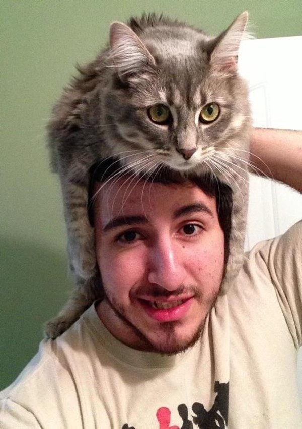 Hay thậm chí tạo thành những chiếc mũ lông thời trang và ấm áp. Giới trẻ thế giới rộ mốt selfie đội mèo lên đầu