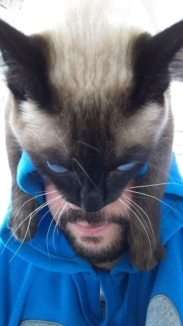 Làm mặt dữ tợn. Giới trẻ thế giới rộ mốt selfie đội mèo lên đầu