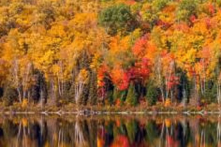 Xúc động khoảnh khắc người đàn ông mù màu lần đầu thấy màu sắc chuẩn