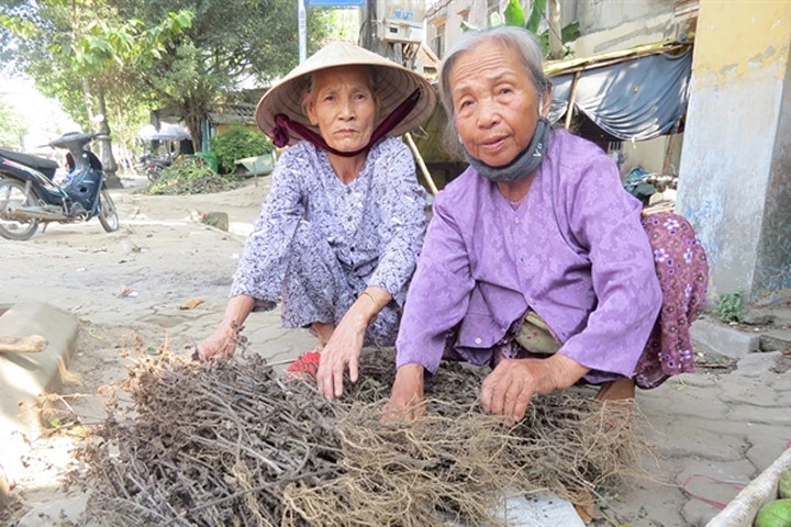 Độc đáo làng "săn" lá thuốc, kiếm tiền triệu của người Dạ Lê