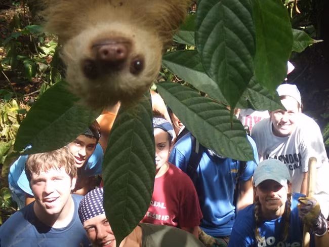 Mọi người nhìn lên đây cười cái xem nào.