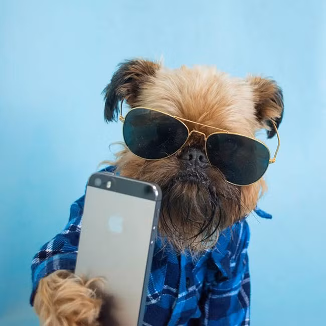 Như thế này đã đủ ngầu chưa hả sen?