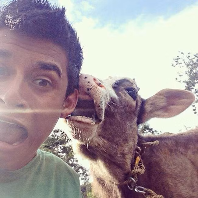 Chụp ảnh phải tạo dáng độc vào chứ.