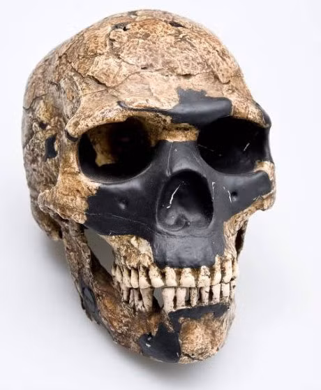 Noi chon giau nhung bi an ve loai nguoi tren nui Lac Da - Anh 6