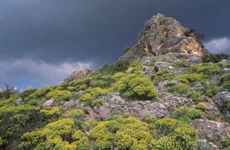 Noi chon giau nhung bi an ve loai nguoi tren nui Lac Da - Anh 3