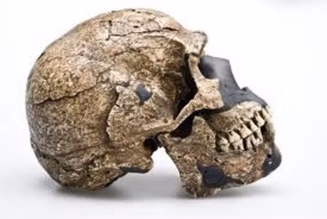 Noi chon giau nhung bi an ve loai nguoi tren nui Lac Da - Anh 5