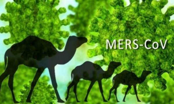 Cùng chuyên gia chuẩn đoán và điều trị Mers - CoV - Ảnh 1