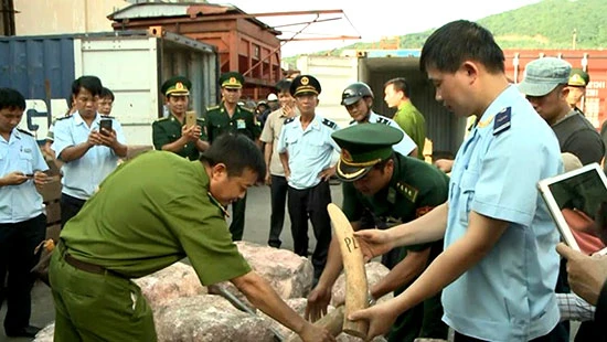 Phòng, chống buôn bán động, thực vật hoang dã trái pháp luật