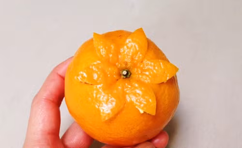 Cách tỉa quả cam đơn giản mà đẹp mắt - 3