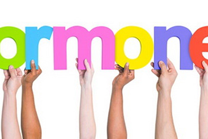 Tất cả chỉ tại hormone?