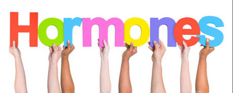 Tất cả chỉ tại hormone? - Ảnh 2 Tat ca chi tai hormone? - Anh 2
