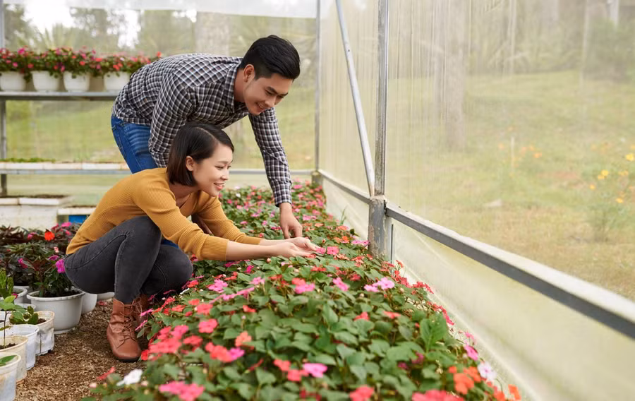 Ana Mandara Villas Dalat Resort, một điểm đến hấp dẫn ở Đà Lạt.