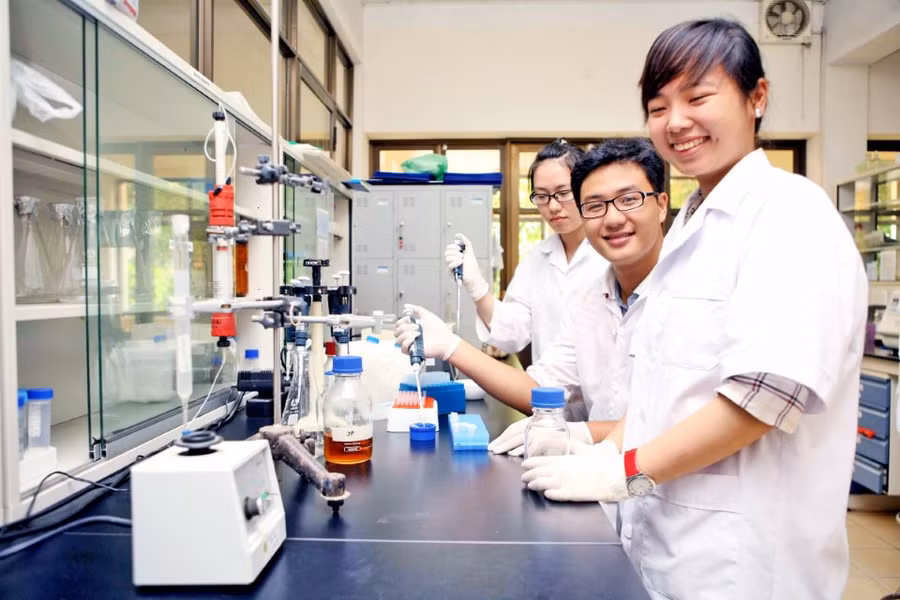 Ảnh minh họa Internet.