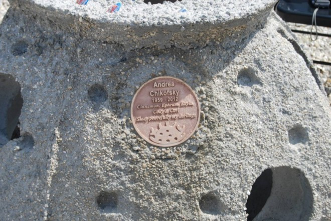 Giờ đây, mỗi năm việc kinh doanh "đá ngầm vĩnh cửu" mang lại hơn nửa triệu USD. 10 cách làm giàu kỳ quặc nhất thế giới