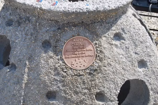 Giờ đây, mỗi năm việc kinh doanh "đá ngầm vĩnh cửu" mang lại hơn nửa triệu USD. 10 cách làm giàu kỳ quặc nhất thế giới