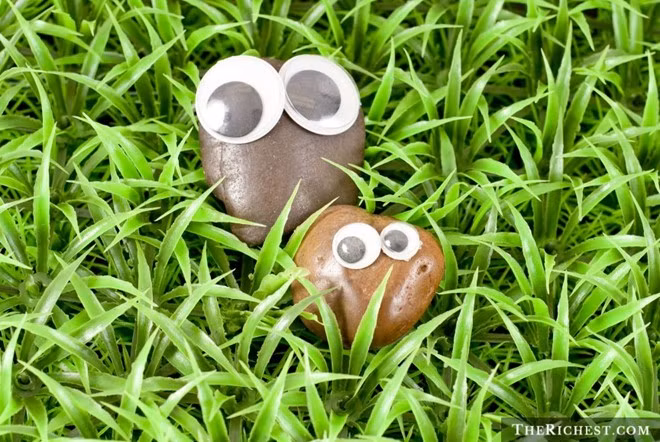 Pet Rock rất nổi tiếng đối với những người sinh ra vào thập niên 70. 10 cách làm giàu kỳ quặc nhất thế giới