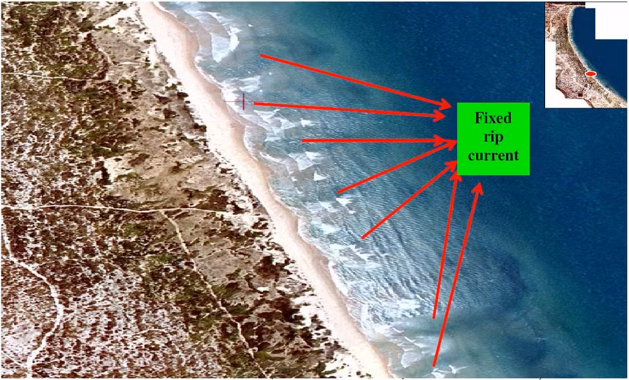 Trường học nâng cao cảnh báo tác hại của dòng Rip trong mùa biển động