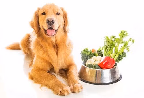 Những công việc kỳ quặc nhất thế giới - ảnh 7