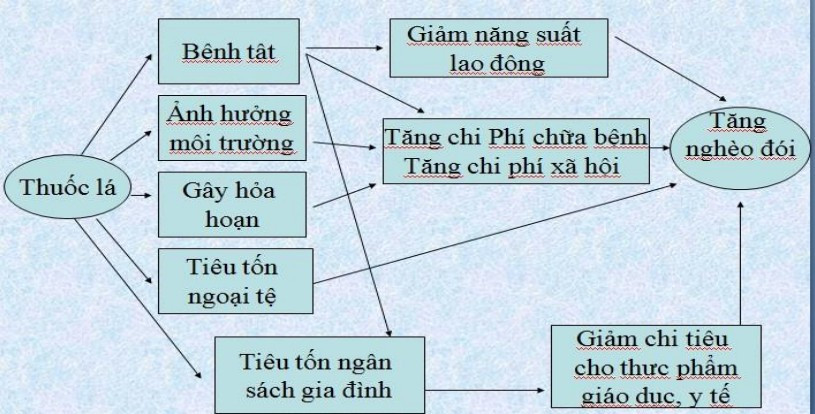 Tác hại của thuốc lá tới kinh tế và môi trường. Ảnh chụp từ tài liệu hướng dẫn của Bộ GD&ĐT. Tác hại của thuốc lá tới kinh tế và môi trường. Ảnh chụp từ tài liệu hướng dẫn của Bộ GD&ĐT.