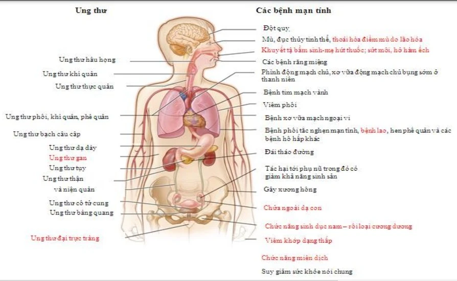 Các bệnh do sử dụng sản phẩm thuốc lá truyền thống gây ra. Ảnh chụp từ tài liệu hướng dẫn của Bộ GD&ĐT.