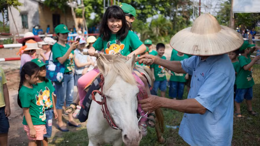 Ảnh minh họa Internet.
