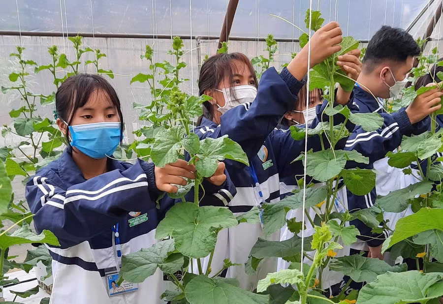 Sinh viên Trường Cao đẳng Nghề Điện Biên trải nghiệm nghề nghiệp thực tế tại Vườn thực nghiệm.