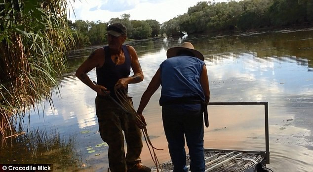 Công việc nguy hiểm của thợ săn sát thủ đầm lầy