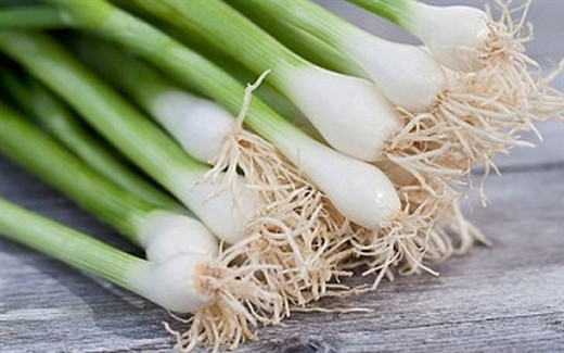 Cong dung than ky chi co trong 1 bo hanh