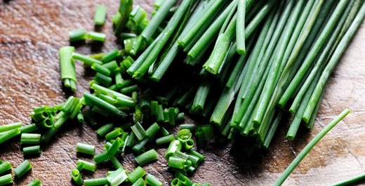 Cong dung than ky chi co trong 1 bo hanh