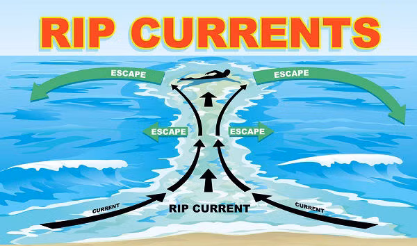 Đi biển nhìn thấy dấu hiệu này phải bỏ chạy thật xa trước khi quá muộn ảnh 1