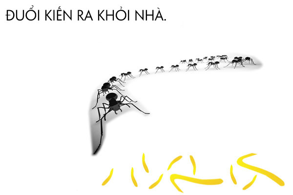 Biết những công dụng tuyệt vời này của vỏ chanh, bạn sẽ chẳng bao giờ dám vứt chúng đi nữa ảnh 3 Biết những công dụng tuyệt vời này của vỏ chanh, bạn sẽ chẳng bao giờ dám vứt chúng đi nữa ảnh 3