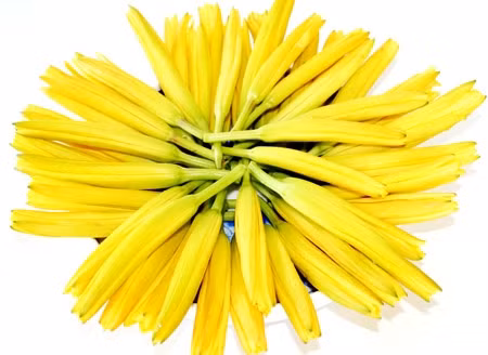 Nhung loai rau cu khong nen an song