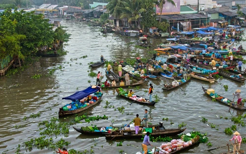 Triển khai thí điểm liên kết phát triển kinh tế xã hội vùng ĐBSCL